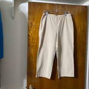 Woman with Control / pants / size 1X